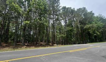 Ridge Road lot E, Appling, GA 30802
