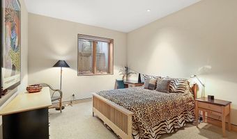 530 W Francis St, Aspen, CO 81611