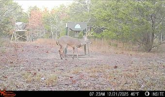 428665 E 1920 Rd, Antlers, OK 74523