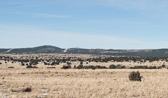 98- C Ten Tanks Rd, Ash Fork, AZ 86320