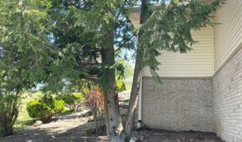 1913 Wayside Ln, Ava, MO 65608