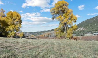 223 Amalia Schoolhouse Rd, Amalia, NM 87512