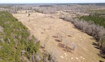 tbd 54.89 Acres N Hwy 53, Arkadelphia, AR 71923