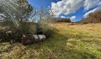 1520 Brittontown Rd, Afton, TN 37616