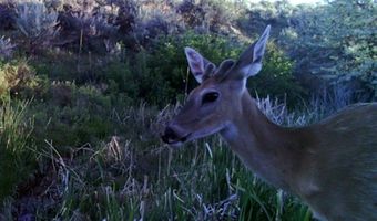 Tbd Takota Lane, Belfry, MT 59008
