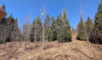 8 Acres E Cable Lake Rd, Amasa, MI 49903