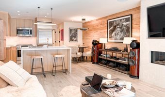 100 E Cooper Ave 4, Aspen, CO 81611