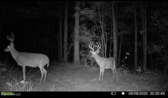 3 Champion Hill Rd, Bolton, MS 39041