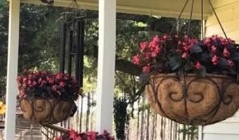 1342 Thomas Hamilton Rd, Brunson, SC 29911