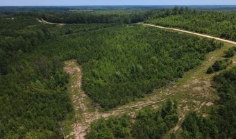 Tucker Road lot 8, Bath Springs, TN 38311