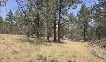 11436 Wildhorse Dr, Bonanza, OR 97623