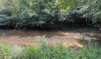 6150 SHOAL CREEK Rd 124+/- Acres, Ashville, AL 35953