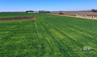 Lot 5 Davis Pond Road, Atmore, AL 36502