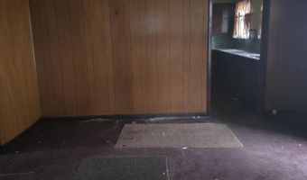 113 W Walnut St, Albion, MI 49224