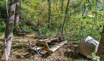 10 Dodd Rd, Barnardsville, NC 28709