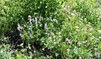2025 Granite Rd, Bellvue, CO 80512