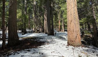 1968 Flamingo Way, Arnold, CA 95223