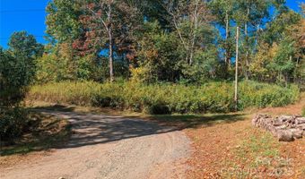 Nicholas Knoll 41, Bakersville, NC 28705
