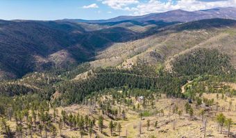 693 Cougar Dr, Bellvue, CO 80512