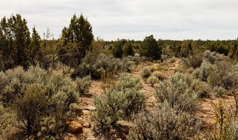 1 1600 AV-137, Apple Valley, UT 84737
