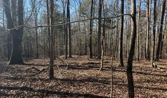 Cr 127, Abbeville, MS 38601
