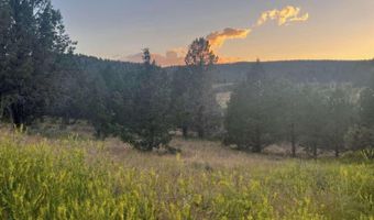 639 Pheasant Dr, Alturas, CA 96101