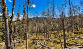 270 Co Rd 667 Lot 0, Alma, CO 80440