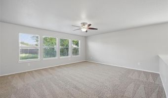 2045 Hanakoa Falls Dr, Anna, TX 75409