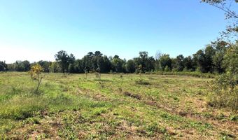 1071 LR 3, Ashdown, AR 71822