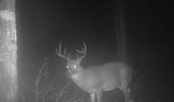 6506 DOUBLE BEND Rd, Argonne, WI 54511