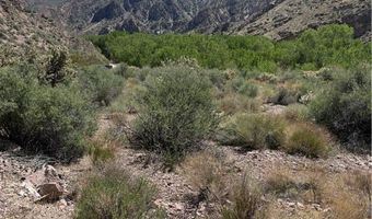 Carp Road, Caliente, NV 89008