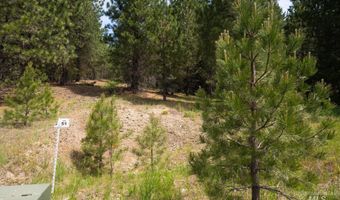 63 Price Loop, Cascade, ID 83611