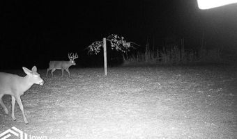 560 Th Ave, Albia, IA 52531