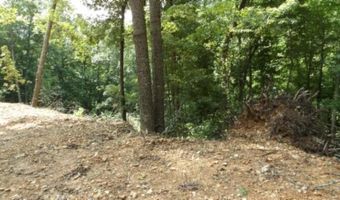 8 63ac Gravely Hill Rd, Bethpage, TN 37022