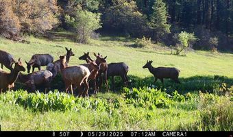 15098 CR 240, Bayfield, CO 81122