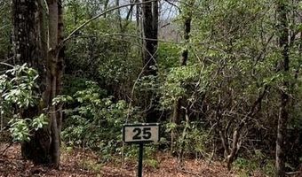 25 Sweetwater Ridge Rd, Balsam Grove, NC 28708