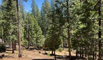 1547 Anna Lee Way, Arnold, CA 95223