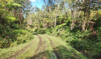 ABOVE MAMALAHOA, Captain Cook, HI 96704