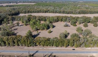 County Road 236 lot 2, Bell, FL 32619