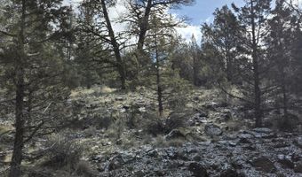 Lots 25-27 Canvasback Drive, Bonanza, OR 97623