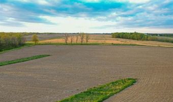 Vine Avenue, Ainsworth, IA 52201