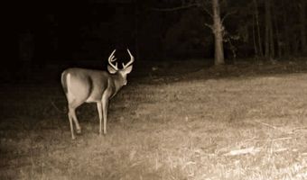 Franklin Dr, Batesville, MS 38606