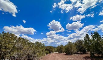 Tbd County Rd N8157, Concho, AZ 85924