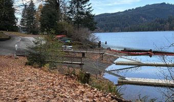 24706 NE Columbia Tie Rd 11-9, Amboy, WA 98601