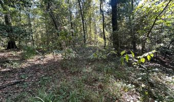 4496 State Hwy 130, Banks, AL 36005