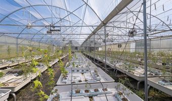 6521 Asher Rd, Alvarado, TX 76009