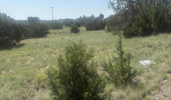 5064 Concho Dr 385, Concho, AZ 85924