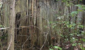 9 AC Lily Dale Rd, Allons, TN 38541