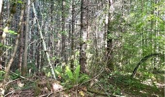 Nowakowski Rd, Banks, OR 97106