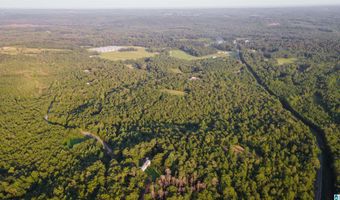 200 TABLEE LANE Lot 17.65, Ashland, AL 36251